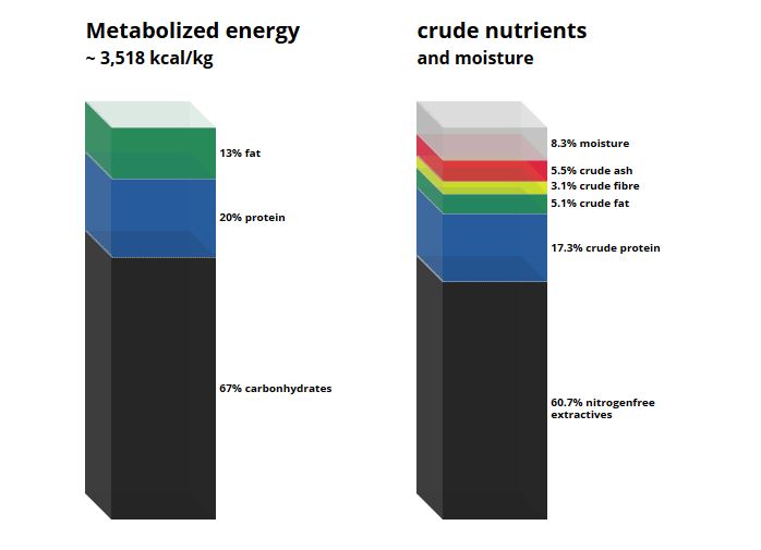C 1039 Manganese deficient diet.JPG